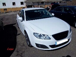 losi