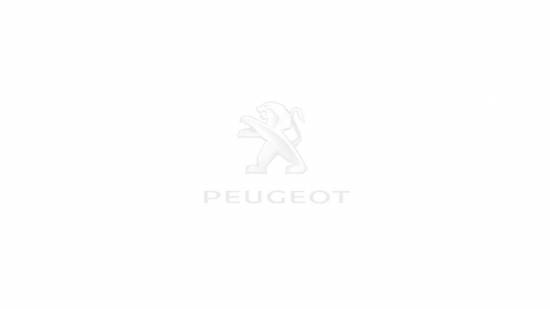 Tweet Club Peugeot