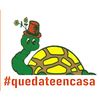 Tartaruga Escuela Infantil