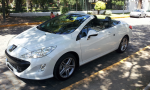 308cc chile
