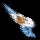 Raul204
