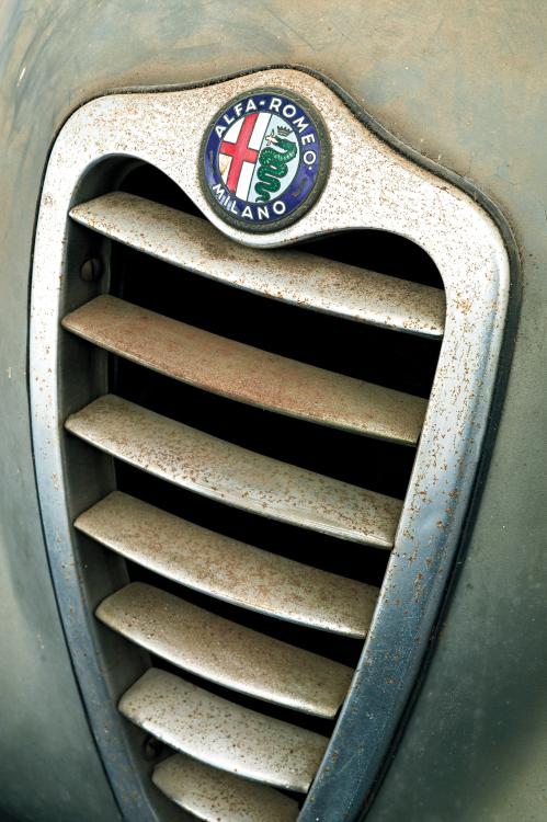 1954-Alfa-Romeo-1900-Super-Sprint-Zagato-grille.jpg